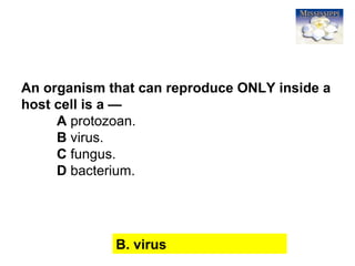 21
An organism that can reproduce ONLY inside a
host cell is a —
A protozoan.
B virus.
C fungus.
D bacterium.
B. virus
 