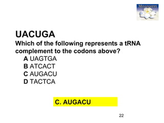 22
UACUGA
Which of the following represents a tRNA
complement to the codons above?
A UAGTGA
B ATCACT
C AUGACU
D TACTCA
C. AUGACU
 