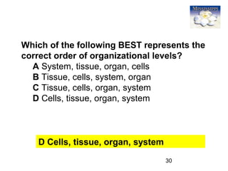 30
Which of the following BEST represents the
correct order of organizational levels?
A System, tissue, organ, cells
B Tissue, cells, system, organ
C Tissue, cells, organ, system
D Cells, tissue, organ, system
D Cells, tissue, organ, system
 