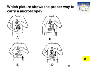 31
Which picture shows the proper way to
carry a microscope?
A
A
B
C
D
 