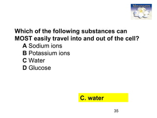 35
Which of the following substances can
MOST easily travel into and out of the cell?
A Sodium ions
B Potassium ions
C Water
D Glucose
C. water
 