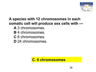38
A species with 12 chromosomes in each
somatic cell will produce sex cells with —
A 3 chromosomes.
B 4 chromosomes.
C 6 chromosomes.
D 24 chromosomes.
C. 6 chromosomes
 
