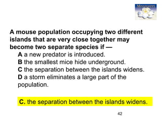 42
A mouse population occupying two different
islands that are very close together may
become two separate species if —
A a new predator is introduced.
B the smallest mice hide underground.
C the separation between the islands widens.
D a storm eliminates a large part of the
population.
C. the separation between the islands widens.
 