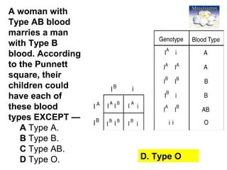 43
A woman with
Type AB blood
marries a man
with Type B
blood. According
to the Punnett
square, their
children could
have each of
these blood
types EXCEPT —
A Type A.
B Type B.
C Type AB.
D Type O. D. Type O
 