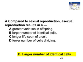 45
B. Larger number of identical cells
A Compared to sexual reproduction, asexual
reproduction results in a —
A greater variation in offspring.
B larger number of identical cells.
C longer life span of a cell.
D fewer number of cells dividing.
 