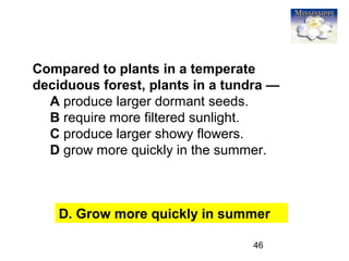 46
Compared to plants in a temperate
deciduous forest, plants in a tundra —
A produce larger dormant seeds.
B require more filtered sunlight.
C produce larger showy flowers.
D grow more quickly in the summer.
D. Grow more quickly in summer
 