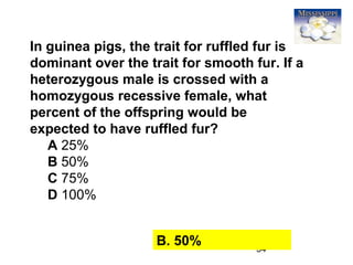 54
In guinea pigs, the trait for ruffled fur is
dominant over the trait for smooth fur. If a
heterozygous male is crossed with a
homozygous recessive female, what
percent of the offspring would be
expected to have ruffled fur?
A 25%
B 50%
C 75%
D 100%
B. 50%
 