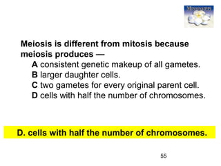 55
Meiosis is different from mitosis because
meiosis produces —
A consistent genetic makeup of all gametes.
B larger daughter cells.
C two gametes for every original parent cell.
D cells with half the number of chromosomes.
D. cells with half the number of chromosomes.
 