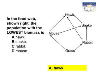 63
In the food web,
shown right, the
population with the
LOWEST biomass is
A hawk.
B snake.
C rabbit.
D mouse.
A. hawk
 