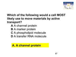 67
Which of the following would a cell MOST
likely use to move materials by active
transport?
A A channel protein
B A marker protein
C A phospholipid molecule
D A transfer RNA molecule
A. A channel protein
 