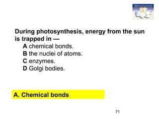 71
During photosynthesis, energy from the sun
is trapped in —
A chemical bonds.
B the nuclei of atoms.
C enzymes.
D Golgi bodies.
A. Chemical bonds
 