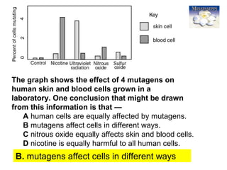 73
The graph shows the effect of 4 mutagens on
human skin and blood cells grown in a
laboratory. One conclusion that might be drawn
from this information is that —
A human cells are equally affected by mutagens.
B mutagens affect cells in different ways.
C nitrous oxide equally affects skin and blood cells.
D nicotine is equally harmful to all human cells.
B. mutagens affect cells in different ways
 