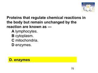 75
Proteins that regulate chemical reactions in
the body but remain unchanged by the
reaction are known as —
A lymphocytes.
B cytoplasm.
C mitochondria.
D enzymes.
D. enzymes
 