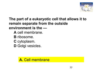 77
The part of a eukaryotic cell that allows it to
remain separate from the outside
environment is the —
A cell membrane.
B ribosome.
C cytoplasm.
D Golgi vesicles.
A. Cell membrane
 