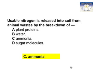 79
Usable nitrogen is released into soil from
animal wastes by the breakdown of —
A plant proteins.
B water.
C ammonia.
D sugar molecules.
C. ammonia
 