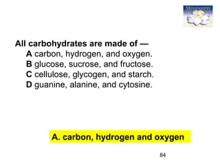 84
All carbohydrates are made of —
A carbon, hydrogen, and oxygen.
B glucose, sucrose, and fructose.
C cellulose, glycogen, and starch.
D guanine, alanine, and cytosine.
A. carbon, hydrogen and oxygen
 