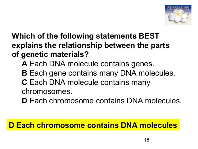 What is the relationship between DNA, genes and What is the relationship between DNA, genes and