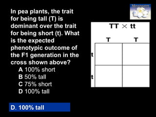 10
In pea plants, the trait
for being tall (T) is
dominant over the trait
for being short (t). What
is the expected
phenotypic outcome of
the F1 generation in the
cross shown above?
A 100% short
B 50% tall
C 75% short
D 100% tall
D. 100% tall
 