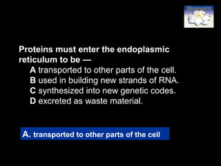 13
Proteins must enter the endoplasmic
reticulum to be —
A transported to other parts of the cell.
B used in building new strands of RNA.
C synthesized into new genetic codes.
D excreted as waste material.
A. transported to other parts of the cell
 