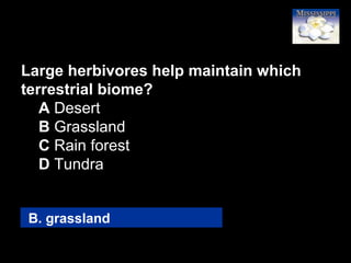 14
Large herbivores help maintain which
terrestrial biome?
A Desert
B Grassland
C Rain forest
D Tundra
B. grassland
 