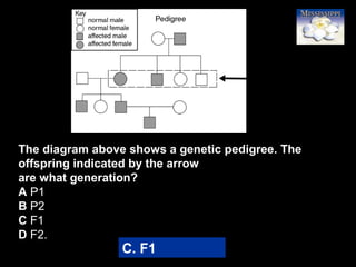 16
The diagram above shows a genetic pedigree. The
offspring indicated by the arrow
are what generation?
A P1
B P2
C F1
D F2.
C. F1
 
