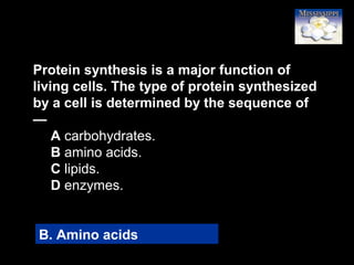 18
Protein synthesis is a major function of
living cells. The type of protein synthesized
by a cell is determined by the sequence of
—
A carbohydrates.
B amino acids.
C lipids.
D enzymes.
B. Amino acids
 