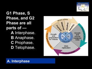 19
G1 Phase, S
Phase, and G2
Phase are all
parts of —
A Interphase.
B Anaphase.
C Prophase.
D Telophase.
A. Interphase
 