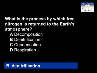 20
What is the process by which free
nitrogen is returned to the Earth’s
atmosphere?
A Decomposition
B Denitrification
C Condensation
D Respiration
B. denitrification
 