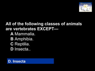 21
All of the following classes of animals
are vertebrates EXCEPT—
A Mammalia.
B Amphibia.
C Reptilia.
D Insecta..
D. Insecta
 