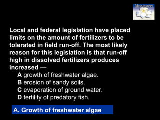 26
Local and federal legislation have placed
limits on the amount of fertilizers to be
tolerated in field run-off. The most likely
reason for this legislation is that run-off
high in dissolved fertilizers produces
increased —
A growth of freshwater algae.
B erosion of sandy soils.
C evaporation of ground water.
D fertility of predatory fish.
A. Growth of freshwater algae
 