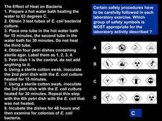 27
Certain safety procedures have
to be carefully followed in each
laboratory exercise. Which
group of safety symbols is
MOST appropriate for the
laboratory activity described ?
C
The Effect of Heat on Bacteria
1. Prepare a hot water bath heating the
water to 63 degrees C.
2. Obtain 3 test tubes of E. coli bacterial
culture.
3. Place one tube in the hot water bath
for 15 minutes, the second tube in the
water bath for 30 minutes. Do not heat
the third tube.
4. Obtain four petri dishes containing
sterile agar. Label them as 1, 2, 3, 4.
5. Petri dish 1 is the control, do not add
anything to it.
6. Using a sterile cotton swab, inoculate
the 2nd petri dish with the E. coli culture
heated for 15 minutes.
7. Using a sterile cotton swab, inoculate
the 3rd petri dish with the E. coli culture
heated for 30 minutes. Repeat this step
with the 4th petri dish with the E. coli that
was not heated.
8. Incubate the dishes for 48 hours and
then examine for colonies of E. coli
bacteria.
A
B
C
D
 