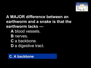 29
A MAJOR difference between an
earthworm and a snake is that the
earthworm lacks —
A blood vessels.
B nerves.
C a backbone.
D a digestive tract.
C. A backbone
 