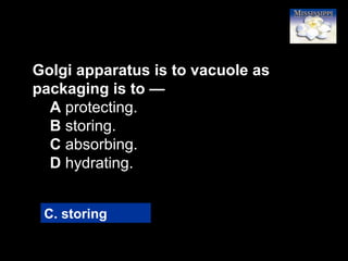 35
Golgi apparatus is to vacuole as
packaging is to —
A protecting.
B storing.
C absorbing.
D hydrating.
C. storing
 