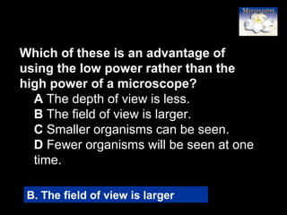 36
Which of these is an advantage of
using the low power rather than the
high power of a microscope?
A The depth of view is less.
B The field of view is larger.
C Smaller organisms can be seen.
D Fewer organisms will be seen at one
time.
B. The field of view is larger
 