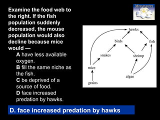 39
Examine the food web to
the right. If the fish
population suddenly
decreased, the mouse
population would also
decline because mice
would —
A have less available
oxygen.
B fill the same niche as
the fish.
C be deprived of a
source of food.
D face increased
predation by hawks.
D. face increased predation by hawks
 