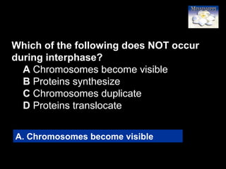 40
Which of the following does NOT occur
during interphase?
A Chromosomes become visible
B Proteins synthesize
C Chromosomes duplicate
D Proteins translocate
A. Chromosomes become visible
 
