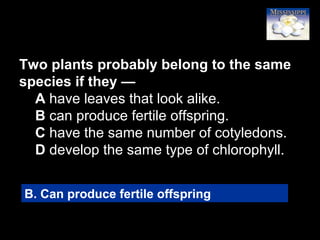 42
Two plants probably belong to the same
species if they —
A have leaves that look alike.
B can produce fertile offspring.
C have the same number of cotyledons.
D develop the same type of chlorophyll.
B. Can produce fertile offspring
 