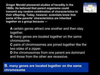43
A certain genes attract one another and then stay
together.
B many genes are located together on the same
chromosome.
C pairs of chromosomes are joined together like the
two sides of a zipper.
D the chromosomes from one parent are dominant
and those from the other are recessive.
B. many genes are located together on the same
chromosome
Gregor Mendel pioneered studies of heredity in the
1800s. He believed that parent organisms could
transmit any random combination of characteristics to
their offspring. Today, however, scientists know that
some of the parents’ characteristics are inherited
together as a group because —
 