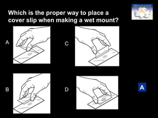 44
Which is the proper way to place a
cover slip when making a wet mount?
A
A
B
C
D
 