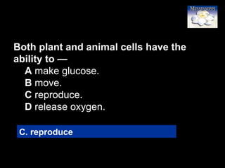 45
C. reproduce
Both plant and animal cells have the
ability to —
A make glucose.
B move.
C reproduce.
D release oxygen.
 
