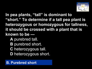 48
In pea plants, “tall” is dominant to
“short.” To determine if a tall pea plant is
heterozygous or homozygous for tallness,
it should be crossed with a plant that is
known to be —
A purebred tall.
B purebred short.
C heterozygous tall.
D heterozygous short.
B. Purebred short
 