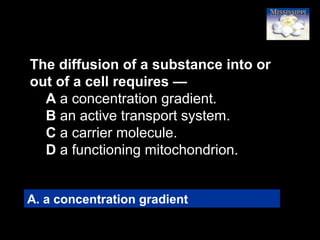 51
The diffusion of a substance into or
out of a cell requires —
A a concentration gradient.
B an active transport system.
C a carrier molecule.
D a functioning mitochondrion.
A. a concentration gradient
 