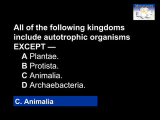 53
All of the following kingdoms
include autotrophic organisms
EXCEPT —
A Plantae.
B Protista.
C Animalia.
D Archaebacteria.
C. Animalia
 