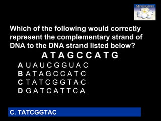 57
Which of the following would correctly
represent the complementary strand of
DNA to the DNA strand listed below?
A T A G C C A T G
A U A U C G G U A C
B A T A G C C A T C
C T A T C G G T A C
D G A T C A T T C A
C. TATCGGTAC
 