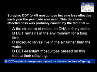 63
Spraying DDT to kill mosquitoes became less effective
each year the pesticide was used. This decrease in
effectiveness was probably caused by the fact that —
A the structure of mosquito DNA is fairly stable.
B DDT remains in the environment for a long
time.
C mosquito larvae live in the air rather than the
water.
D DDT-resistant mosquitoes passed on this
trait to their offspring.
D. DDT-resistant mosquitoes passed on this trait to their offspring
 