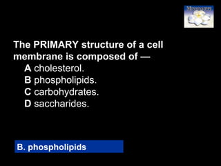 67
The PRIMARY structure of a cell
membrane is composed of —
A cholesterol.
B phospholipids.
C carbohydrates.
D saccharides.
B. phospholipids
 