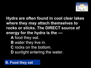 69
Hydra are often found in cool clear lakes
where they may attach themselves to
rocks or sticks. The DIRECT source of
energy for the hydra is the ––
A food they eat.
B water they live in.
C rocks on the bottom.
D sunlight entering the water.
B. Food they eat
 