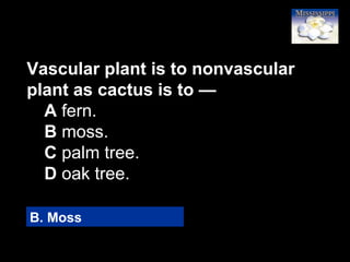70
B. Moss
Vascular plant is to nonvascular
plant as cactus is to —
A fern.
B moss.
C palm tree.
D oak tree.
 