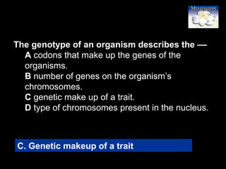 74
The genotype of an organism describes the ––
A codons that make up the genes of the
organisms.
B number of genes on the organism’s
chromosomes.
C genetic make up of a trait.
D type of chromosomes present in the nucleus.
C. Genetic makeup of a trait
 