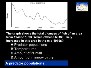 76
The graph shows the total biomass of fish of an area
from 1946 to 1993. Which ofthese MOST likely
increased in this area in the mid-1970s?
A Predator populations
B Temperatures
C Amount of rainfall
D Amount of minnow births
A predator populations
 